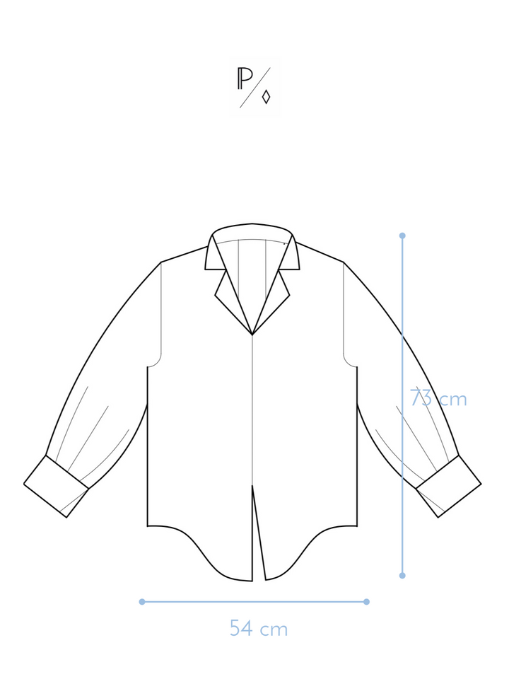 Silk Shirt Blouse