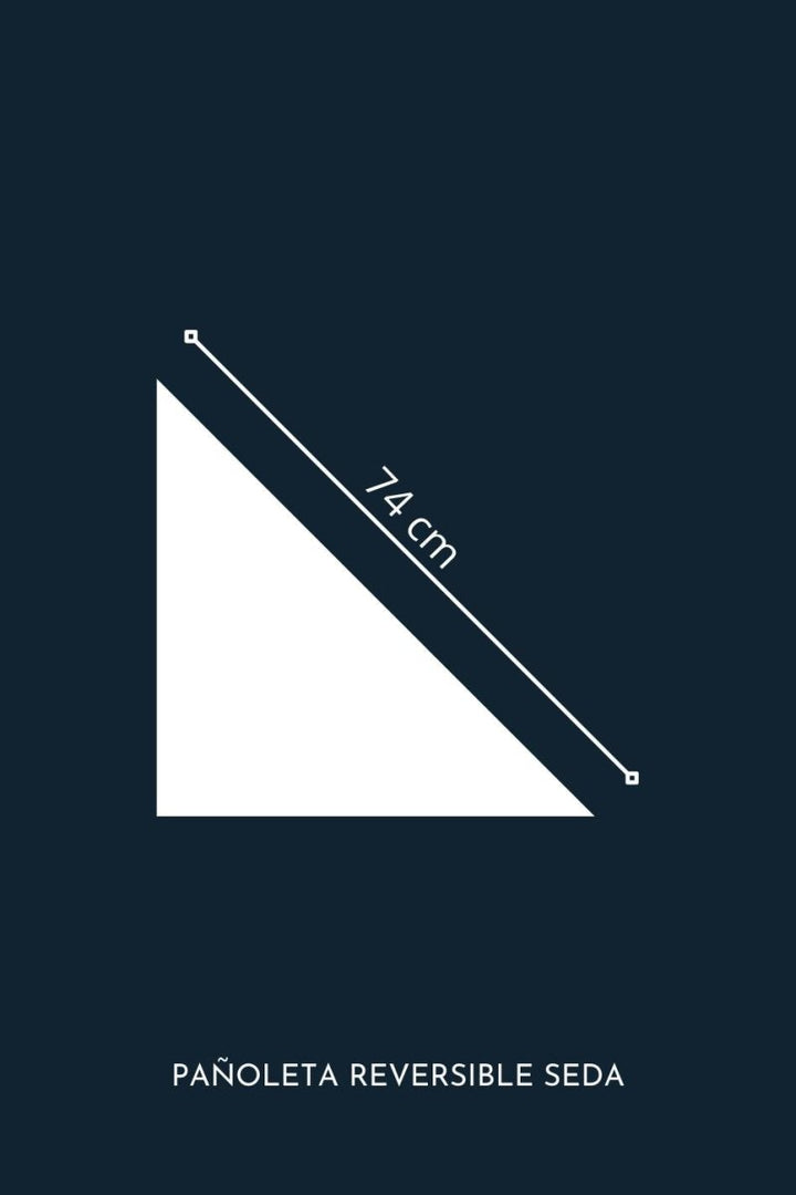 Pañoleta Seda Reversible - PAULAMAR - Pañoleta